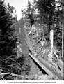 Logging operation showing logs descending a logging chute, ca 1903 (INDOCC 646).jpg