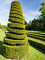 Topiary spiral in the Long Garden.