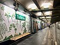 Thumbnail for Tuileries station