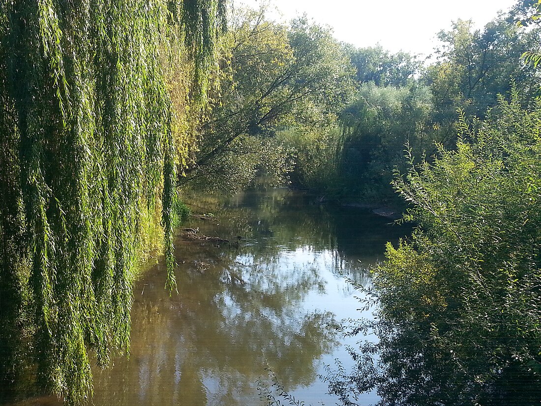 Mühlbach (Rhein, Scherzheim)