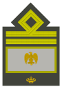 MVSN-chef-luitenant-generaal van manipolo.svg