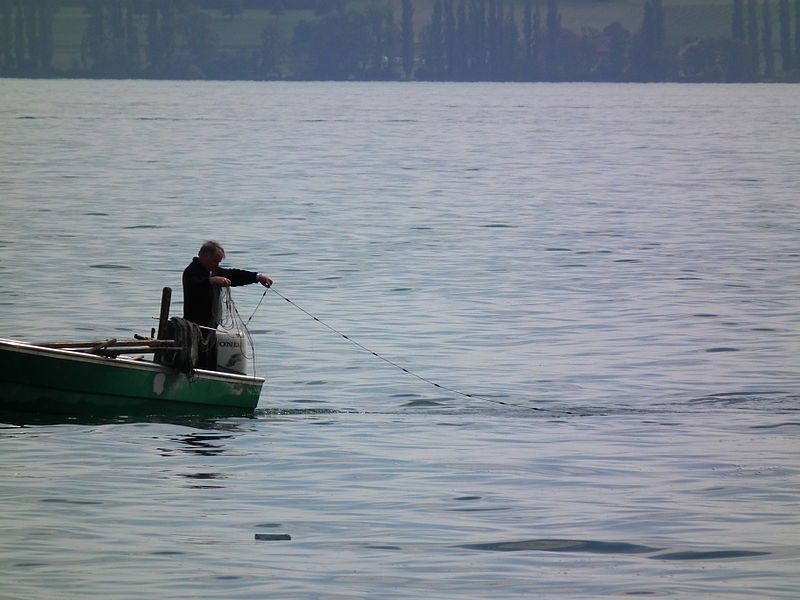 File:Mai 2012 Fischer auf dem Bodensee.JPG