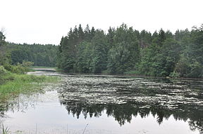 Maltečkas dzirnavu ezers, Mākoņkalna pagasts, Rēzeknes novads, Latvia.jpg