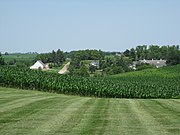 Kornfelder im östlichen Iowa