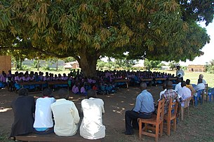 CO2balance hosting a community meeting in Uganda. Meeting under the mango tree - Abari PS solar project, Uganda.jpg