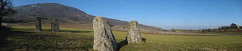 Menhire von Corcelles-près-Concise im Kanton Waadt