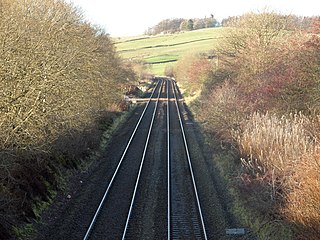 <span class="mw-page-title-main">Mennock Lye Goods Depot</span> Railway freight facility in Scotland