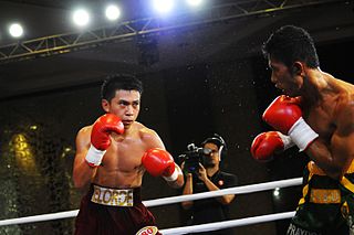 <span class="mw-page-title-main">Juan Miguel Elorde</span> Filipino boxer