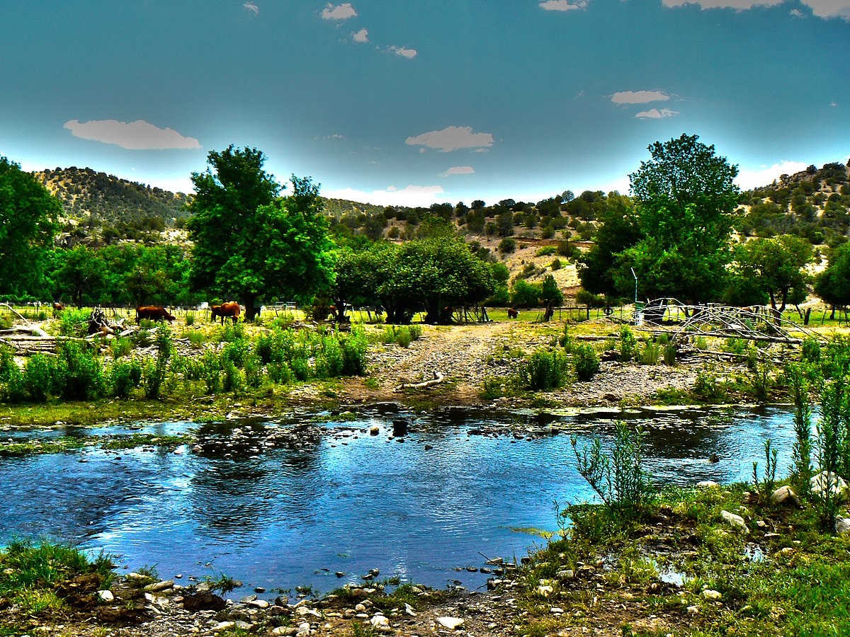 Perennial stream - Wikipedia