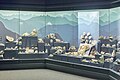 Naturmuseum Augsburg: Mineraliensammlung