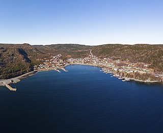 <span class="mw-page-title-main">Ming's Bight</span> Town in Newfoundland and Labrador, Canada