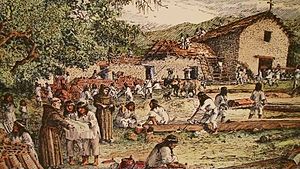 The Spanish missions in Mexican California continued to use forced Indian labor even after Mexican independence, the so-called "Mission Indians". Mission Indians.jpg