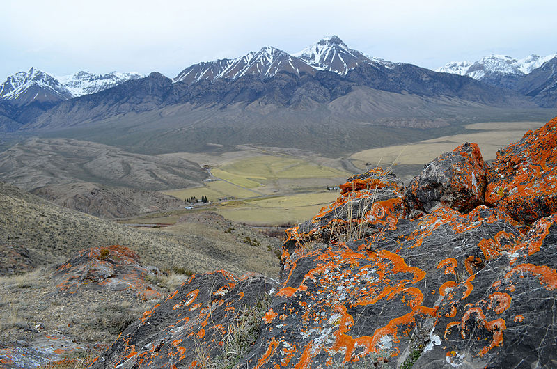 File:Mississipian Limestone Mackay Blaze Canyon (23657287346).jpg