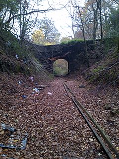 Mitcheldean Road & Forest of Dean Junction Railway Independent railway company in England