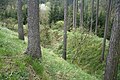 Čeština: Příkop hradu Lesní Jakubov u Lesního Jakubova, okr. Třebíč. English: Moat of former Lesní Jakubov castle in Lesní Jakubov, Třebíč District.