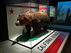 California grizzly bear - Wikipedia