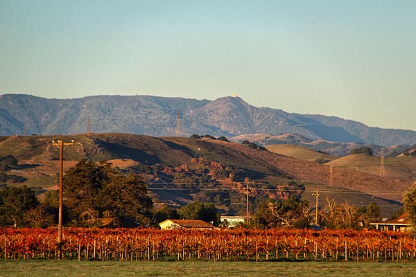 Given its Mediterranean climate, Morgan Hill is well known for its vineyards and wine-growing, as a part of the Santa Clara Valley designated AVA.