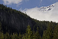 Mount Rainier (14619803563).jpg