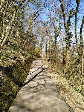 Mountain avenue - Photo by Giovanni Ussi