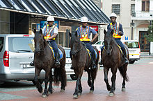 Mounted police in Cape Town Mounted police CT 1.jpg
