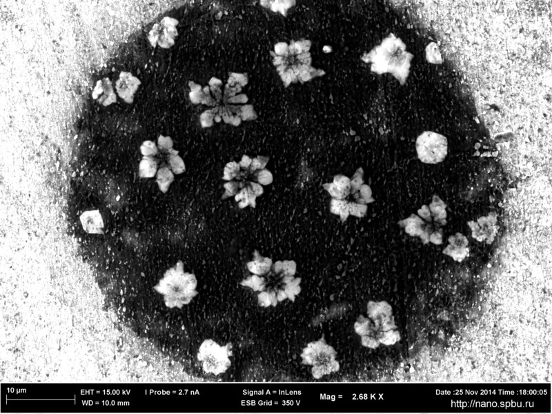 File:NaCl на поверхности стали.tif