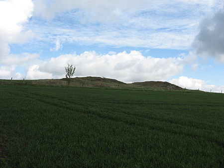 Naturschutzgebiet Warenberg