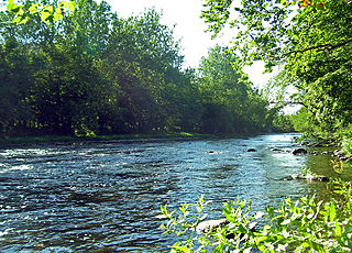 <span class="mw-page-title-main">Neversink Preserve</span> Protected natural area in the U.S. state of New York