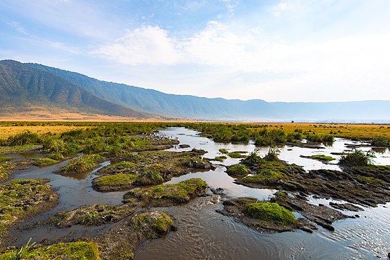 Ngoro Ngoro Crater Tanzania. Photograph: Daniel Msirikale