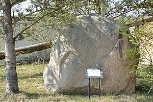 Niedersachsen, Wohlenbeck, Naturdenkmal NIK 2736.JPG