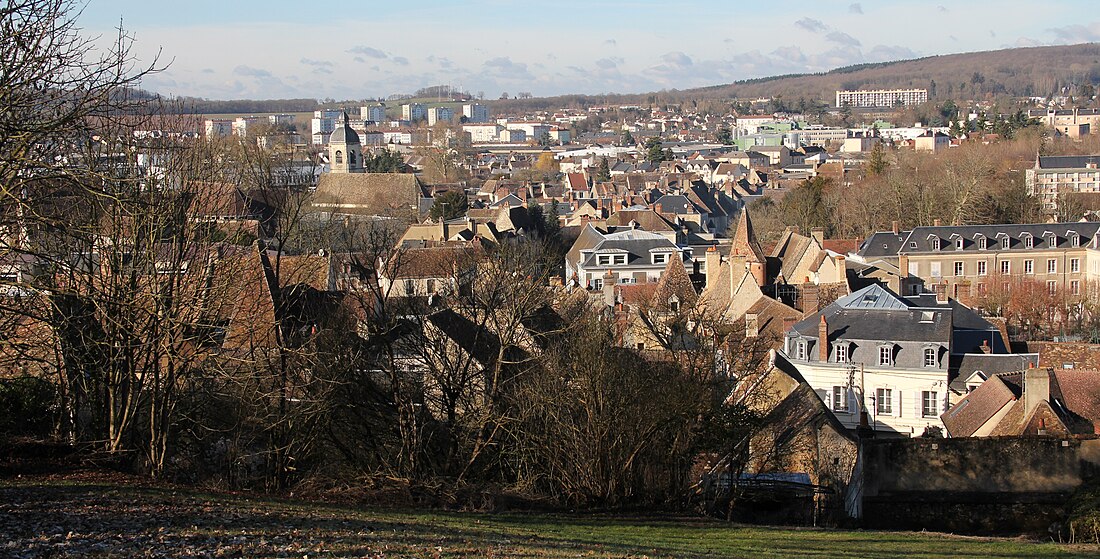 File:Nogent-le-Rotrou - Western part of town seen from Château Saint-Jean - 3.jpg