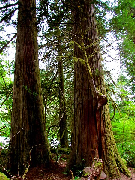 File:North Cascades National Park (9290006255).jpg