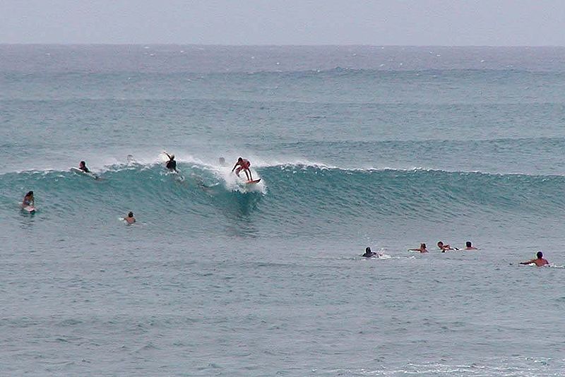 File:Oahu North Shore surfing catching wave.jpg