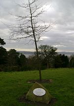 The Red Oak, planted on 25 February 2004 by HRH The Princess Royal to commemorate her visit to view the improvements to the Mills Observatory