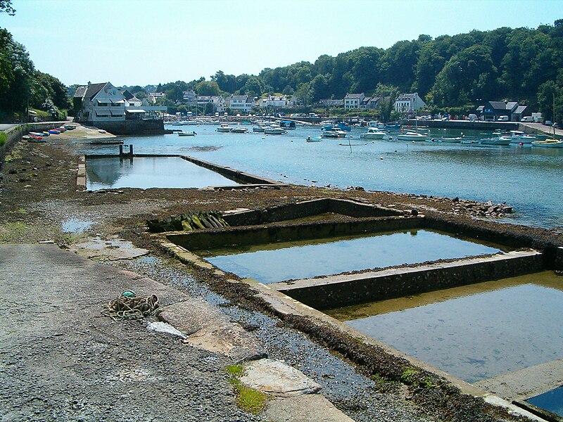 File:Oesterbanken in Riec-sur-Belon.jpg