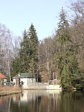 The Oker Weir in Oker