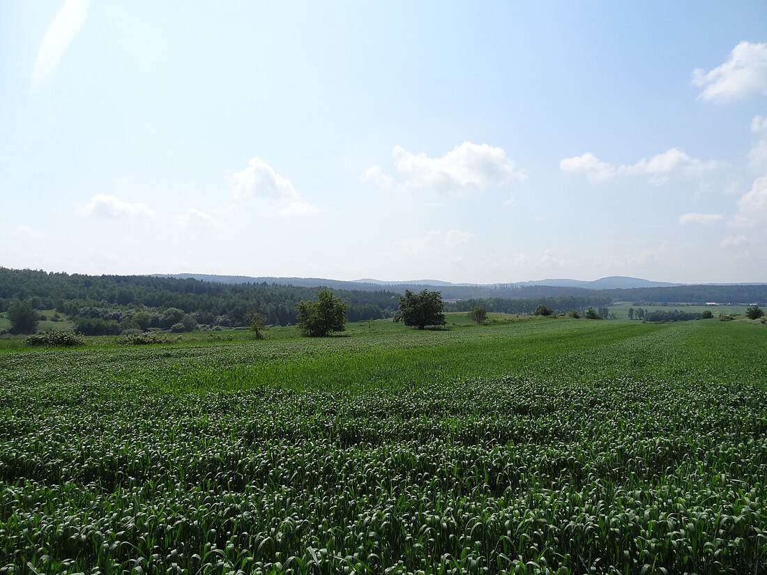 Przedgórze Sudeckie