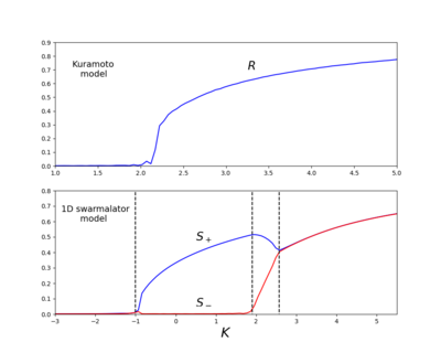 Top row, sync order parameter
R
{\displaystyle R}
versus phase coupling strength
K
{\displaystyle K}
for the Kuramoto model with Cauchy natural frequencies with zero center and unit width. Bottom row, rainbow order parameters
S
+-
{\displaystyle S_{\pm }}
for the 1D swarmalator model also with unit Cauchy natural frequencies and
J
=
9
{\displaystyle J=9}
. The black dotted lines mark the transitions between the async state, phase wave, and mixed state in that order. Data were collecting using an RK4 solver with timestep
d
t
=
0.1
{\displaystyle dt=0.1}
for
T
=
200
{\displaystyle T=200}
time units with
N
=
10
6
{\displaystyle N=10^{6}}
swarmalators. Order-pars-for-wiki.png