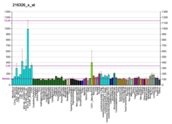 PBB GE HDAC3 216326 s bei fs.png