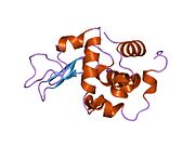 PDB 1ix0 EBI.jpg