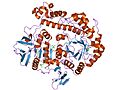 Thumbnail for Glycoside hydrolase family 42