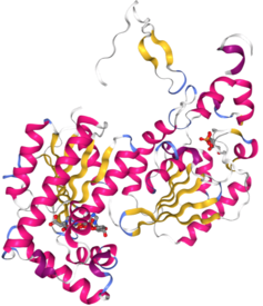 i-PFKB3, Human inducible form PFKB3 .png