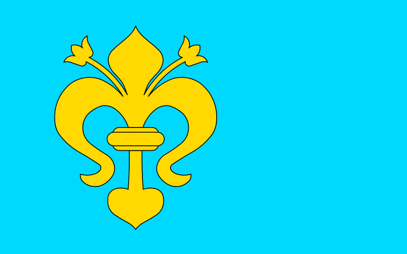 File:POL gmina Zarszyn flag.svg