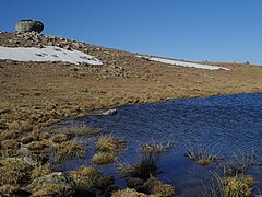 Petit lac sur le plateau sommital occupant le creux laissé par une ancienne palse.