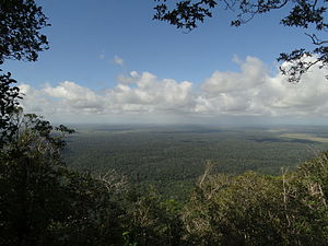 Atlantic Forest