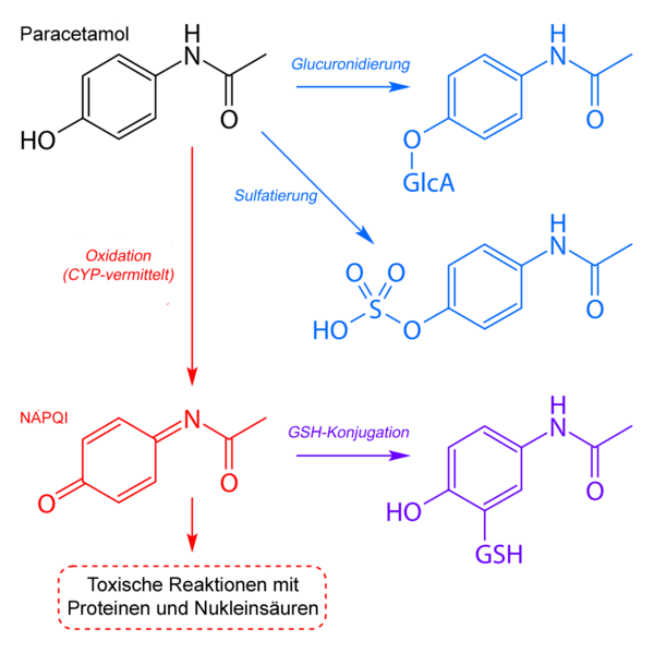 File:Paracetamol metabolism (de).png