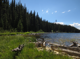 <span class="mw-page-title-main">Nickel Plate Provincial Park</span> Provincial park in British Columbia, Canada