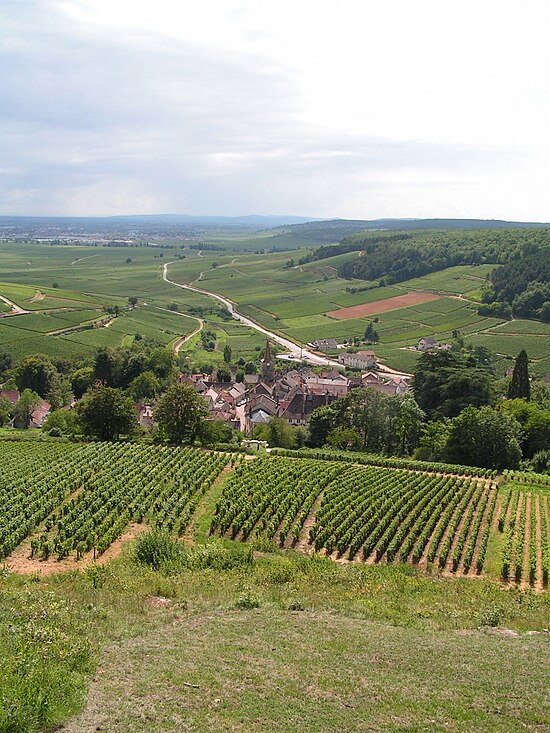 Savigny les. Бургундия регион Франции. Виноградники Бургундии. Орденштаате Бургундии. Бургундия 38986.