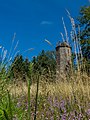 * Nomination Schänzelturm auf dem Steigerkopf, Pfälzerwald, Germany--Fischer.H 17:41, 27 January 2018 (UTC) * Decline On the picture you can see not much of the tower and please use a more meaningful filename. --Ermell 08:43, 28 January 2018 (UTC)