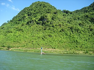 Phong Nha-Kẻ Bàng: Geologie, UNESCO-Weltnaturerbe, Flora und Fauna