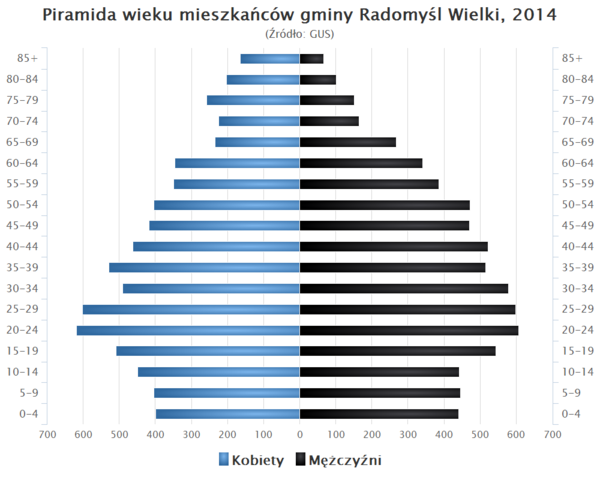 Piramida wieku Gmina Radomysl Wielki.png